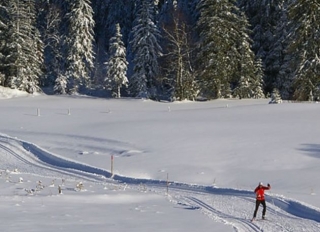  Pistas acondicionadas para esquí de fondo en el Jura